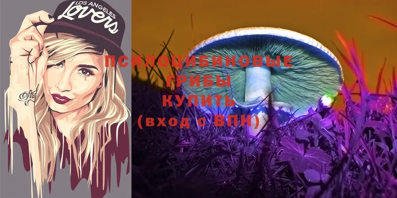 Псилоцибиновые грибы Psilocybe  mega маркетплейс  Азнакаево 